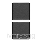 Eikon Exe Flat 2 half buttons for 1 module, without symbol, customizable, grey