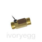 3/4" pipe nipple with temperature probe (male-male)