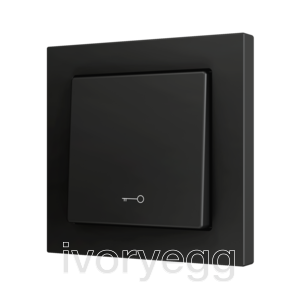 ZS55. Cover for Simple KNX Soft push button 55x55 mm. Tilt down - Key icon - Anthracite