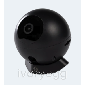 Shelly Camera Black