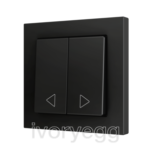 ZS55. Double Soft push button for 2 binary inputs 55x55 mm – Anthracite - Custom. Minimum 100 units per design