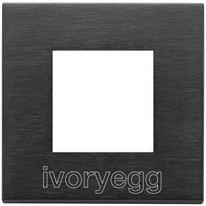 Eikon Exe frame for 2 module KNX insert, metal brushed black