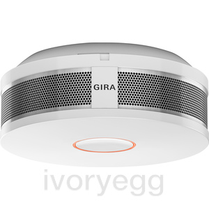 Smoke Alarm Device Dual Q